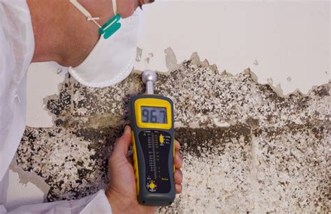 custom moisture meter termite inspection|where do termite inspectors look.